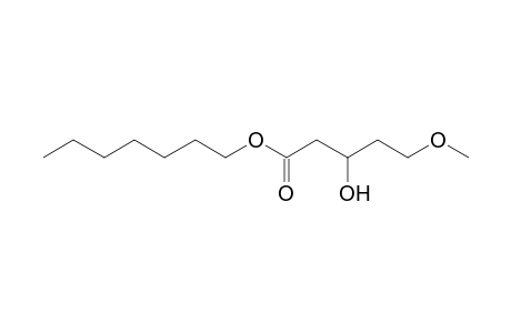 Heptyl (3s)-3-hydroxy-5-methoxypentanoate