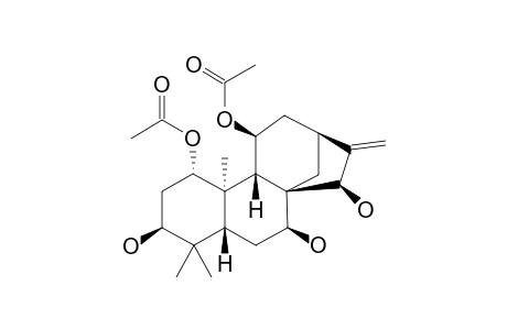 TENUIFOLIN_D;3-BETA,7-BETA,15-BETA-TRIHYDROXY-1-ALPHA,11-BETA-DIACETOXY-ENT-KAUR-16-ENE