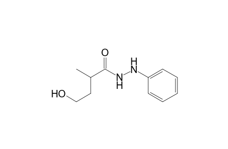 Butanoic acid, 4-hydroxy-2-methyl-, 2-phenylhydrazide