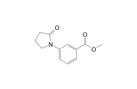 3-(2-ketopyrrolidino)benzoic acid methyl ester