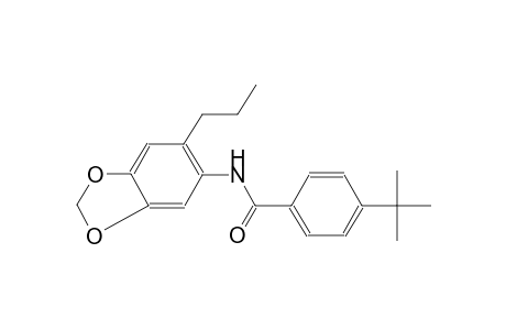 benzamide, 4-(1,1-dimethylethyl)-N-(6-propyl-1,3-benzodioxol-5-yl)-
