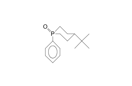 cis-4-tert-Butyl-1-phenyl-phosphorinane 1-oxide