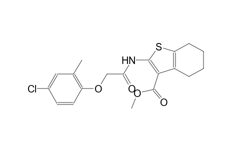 methyl 2-{[(4-chloro-2-methylphenoxy)acetyl]amino}-4,5,6,7-tetrahydro-1-benzothiophene-3-carboxylate
