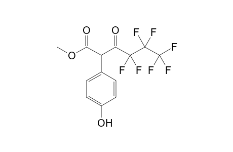 pHPA-Me-HFB