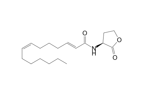 (S)-N-(2E,7Z)-Tetradecadienyl-homoserine lactone