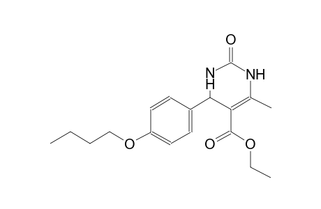 ethyl 4-(4-butoxyphenyl)-6-methyl-2-oxo-1,2,3,4-tetrahydro-5-pyrimidinecarboxylate