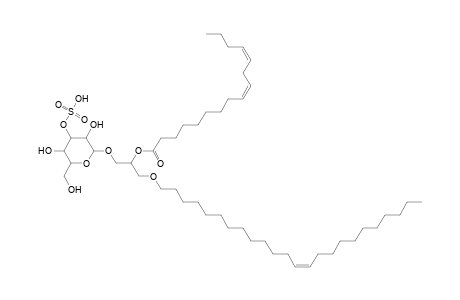 SMGDG O-24:1_16:2