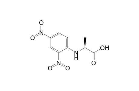 (2S)-2-(2,4-dinitroanilino)propanoic acid