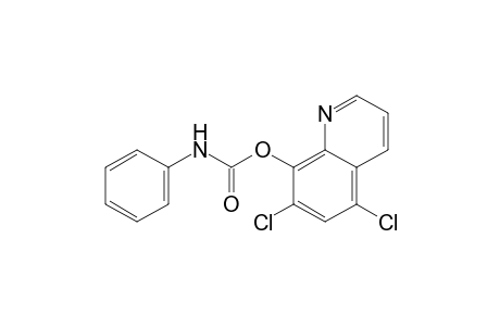 5,7-dichloro-8-quinolinol, carbanilate (ester)