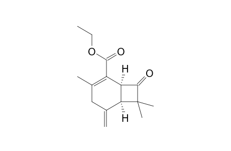 (1S,6R)-3,7,7-trimethyl-5-methylene-8-oxo-2-bicyclo[4.2.0]oct-2-enecarboxylic acid ethyl ester