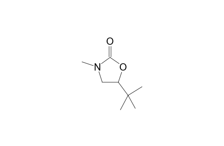 5-tert-Butyl-3-methyl-1,3-oxazolidin-2-one