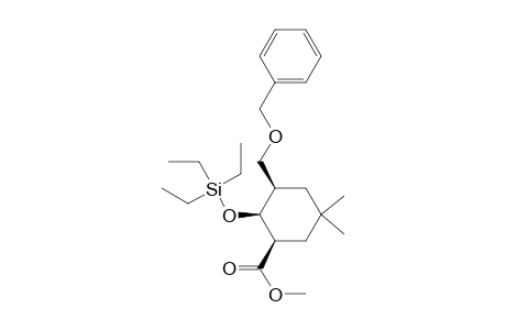 rac-[Methyl (1R,2S,3R)-3-[(Benzyloxy)methyl]-2-(triethylsilyloxy)-5,5-dimethylcyclohexane-1-carboxylate]
