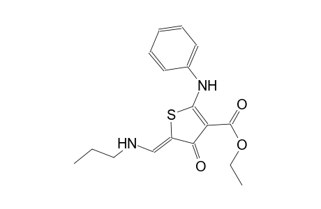 ethyl (5Z)-2-anilino-4-oxo-5-[(propylamino)methylene]-4,5-dihydro-3-thiophenecarboxylate