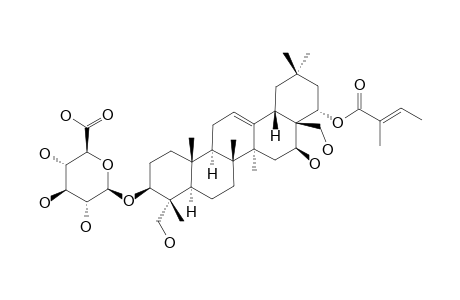 GYMNEMASIN-C;3-O-BETA-D-GLUCURONOPYRANOSYL-22-O-TIGLOYL-GYMNEMANOL