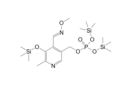 Pyridoxal-5'-phosphate, 3TMS, 1MEOX