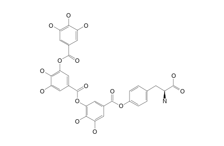 TRIGALLOYLTYROSINE