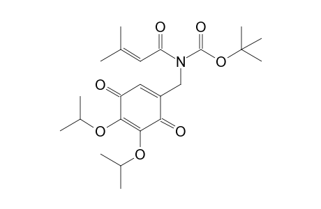 N-[(4,5-diisopropoxy-3,6-diketo-cyclohexa-1,4-dien-1-yl)methyl]-N-(3-methylbut-2-enoyl)carbamic acid tert-butyl ester