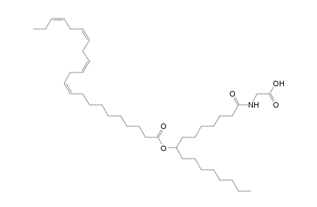 NAGly 22:4/16:0