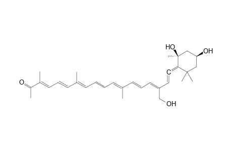 19'-Hydroxyparacentrone