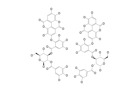 2-O-GALLOYL-3-O-VALONEOYL-DILACTONE-(ALPHA/BETA)-(4)-C(1)-GLUCOPYRANOSE