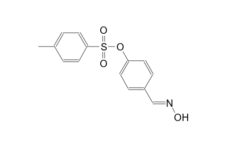4-[(E)-(hydroxyimino)methyl]phenyl 4-methylbenzenesulfonate