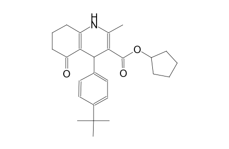 3-quinolinecarboxylic acid, 4-[4-(1,1-dimethylethyl)phenyl]-1,4,5,6,7,8-hexahydro-2-methyl-5-oxo-, cyclopentyl ester