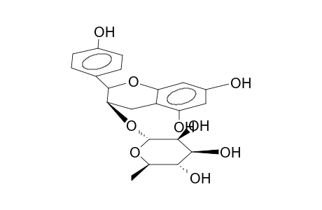 (+)-AFZELECHIN-3-O-ALPHA-L-RHAMNOPYRANOSIDE