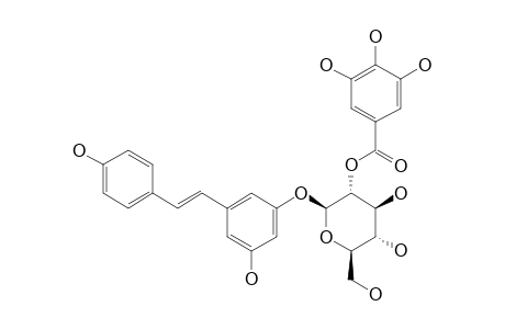 PIECEID-2''-O-GALLATE