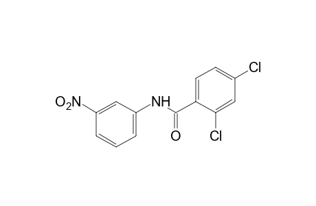 2,4-dichloro-3'-nitrobenzanilide