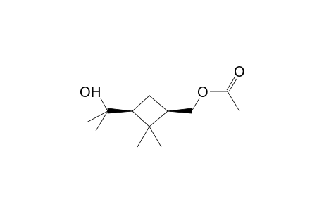 CIS-1-ACETOXYMETHYL-2,2-DIMETHYL-3-(1-METHYL-1-HYDROXYETHYL)CYCLOBUTANE