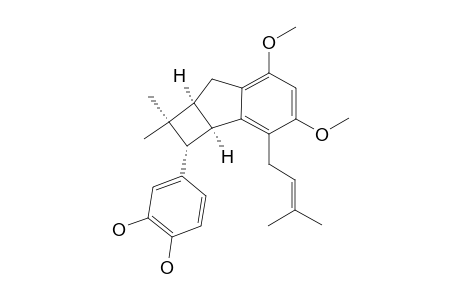 Artochamin I