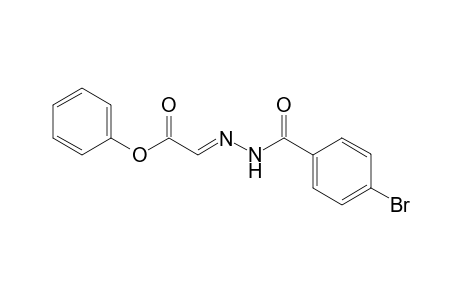 .alpha.-(4-Bromobenzoylhydrazono)phenyl acetate