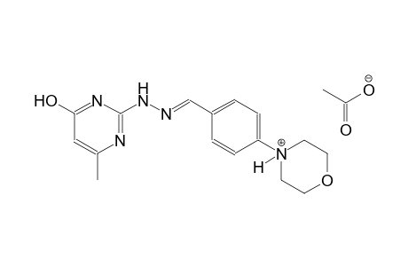 4-(4-{(E)-[(4-hydroxy-6-methyl-2-pyrimidinyl)hydrazono]methyl}phenyl)morpholin-4-ium acetate