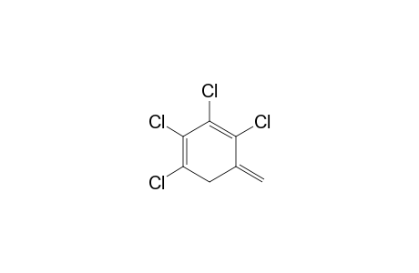 1,2,3,4-TETRACHLORO-5-METHYLENECYCLOHEXA-1,3-DIENE