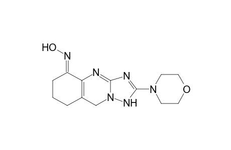 2-Morpholino-5-oximino-6,7,8,9-tetrahydro-10H-1,2,4-triazolo[5,1-b]quinazoline