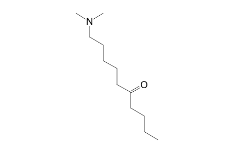 1-(dimethylamino)decan-6-one