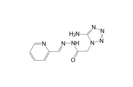 2-(5-amino-1H-tetraazol-1-yl)-N'-[(E)-2-pyridinylmethylidene]acetohydrazide