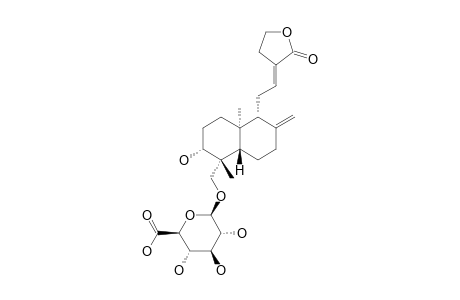 14-DEOXY-12(13)-EN-ANDROGRAPHOLIDE-19-O-BETA-D-GLUCURONIDE