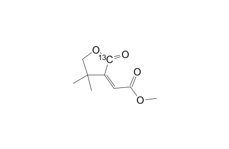(Z)-Methyl 4,4-Dimethyl-2-oxotetrahydro(2-13C)furan-3-ylideneacetate