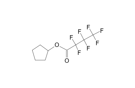 Heptafluorobutyric acid, cyclopentyl ester