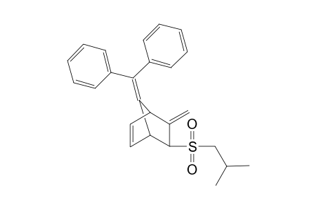 (endo)-Benzhydrylidene-3-methylene-2-[2'-methylpropyl-2'-sulfonyl)bicyclo[2.2.1]hept-5-ene