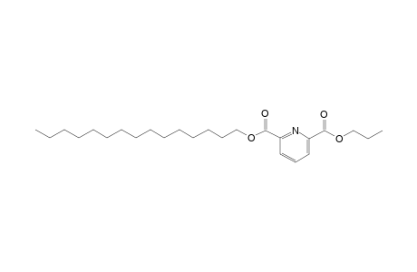 2,6-Pyridinedicarboxylic acid, pentadecyl propyl ester