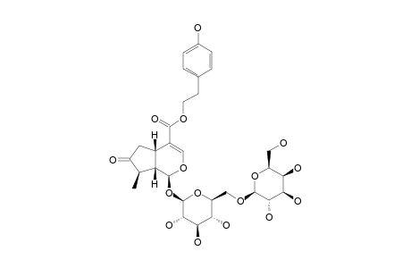 6'-O-ALPHA-D-GALACTOPYRANOSYL-SYRINGOPICROSIDE