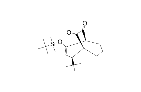 4-TERT.-BUTYL-2-(TERT.-BUTYLDIMETHYLSILOXY)-10-HYDROXYBICYCLO-[3.3.2]-DEC-2-EN-9-ONE