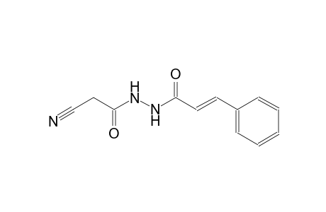 (2E)-N'-(Cyanoacetyl)-3-phenyl-2-propenohydrazide