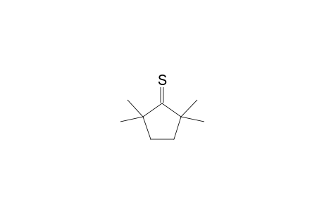 2,2,5,5-Tetramethylcyclopentane-1-thione