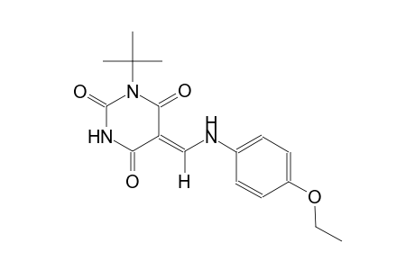 (5Z)-1-tert-butyl-5-[(4-ethoxyanilino)methylene]-2,4,6(1H,3H,5H)-pyrimidinetrione