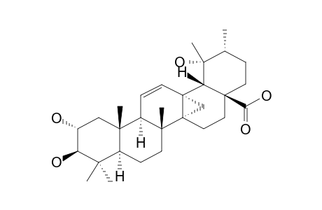 EUSCAPHIC_ACID_D;3-BETA-HYDROXYEUSCAPHIC_ACID_C;2-ALPHA,3-BETA,19-ALPHA-TRIHYDROXY-13-ALPHA,27-CYCLOURS-11-EN-28-OIC_ACID