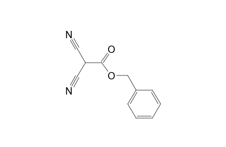 2,2-dicyanoacetic acid benzyl ester