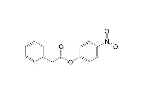 Phenylacetic acid, 4-nitrophenyl ester